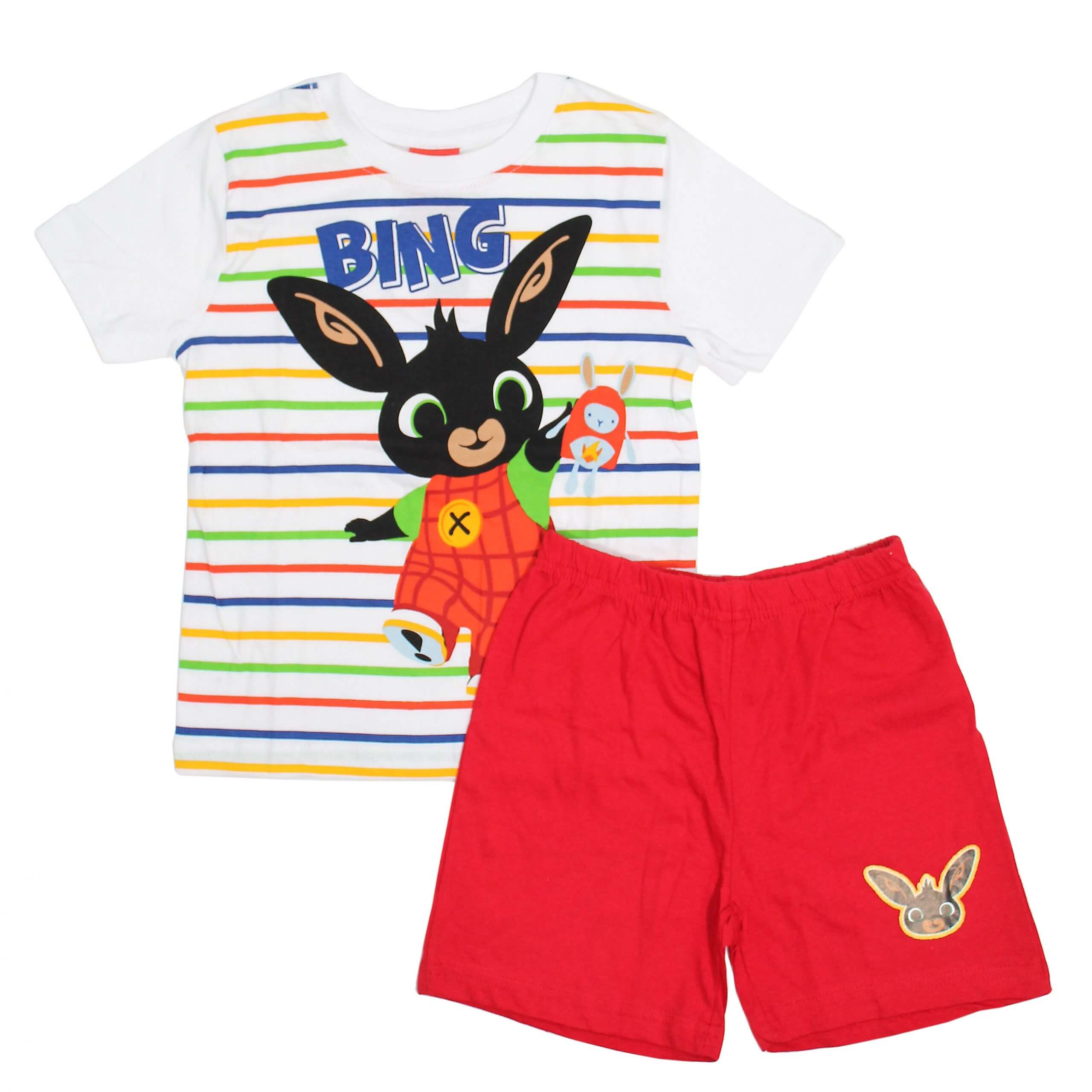 disney ruha