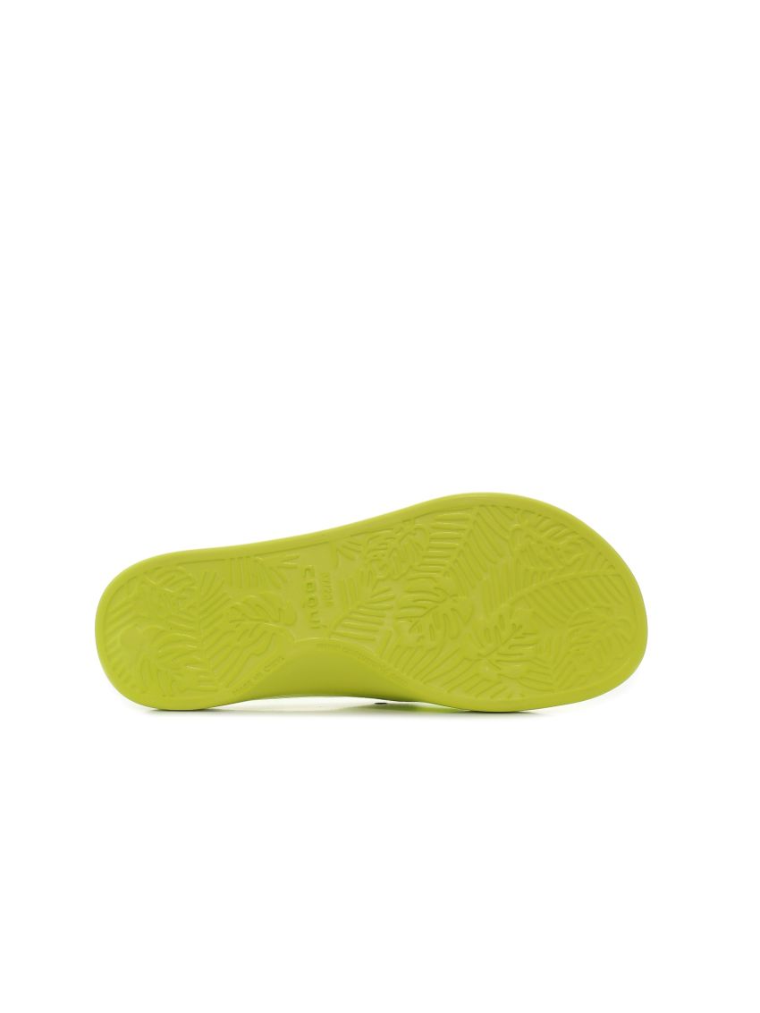 Coqui Naitiri 1330-100-1300