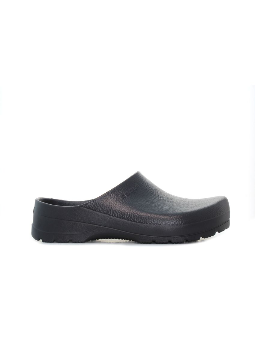 Coqui Seed  6461-100-2222