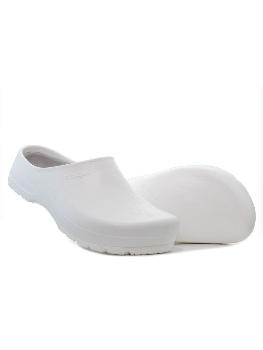 Coqui Seed  6461-100-3230