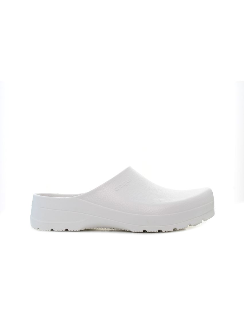 Coqui Seed  6461-100-3230