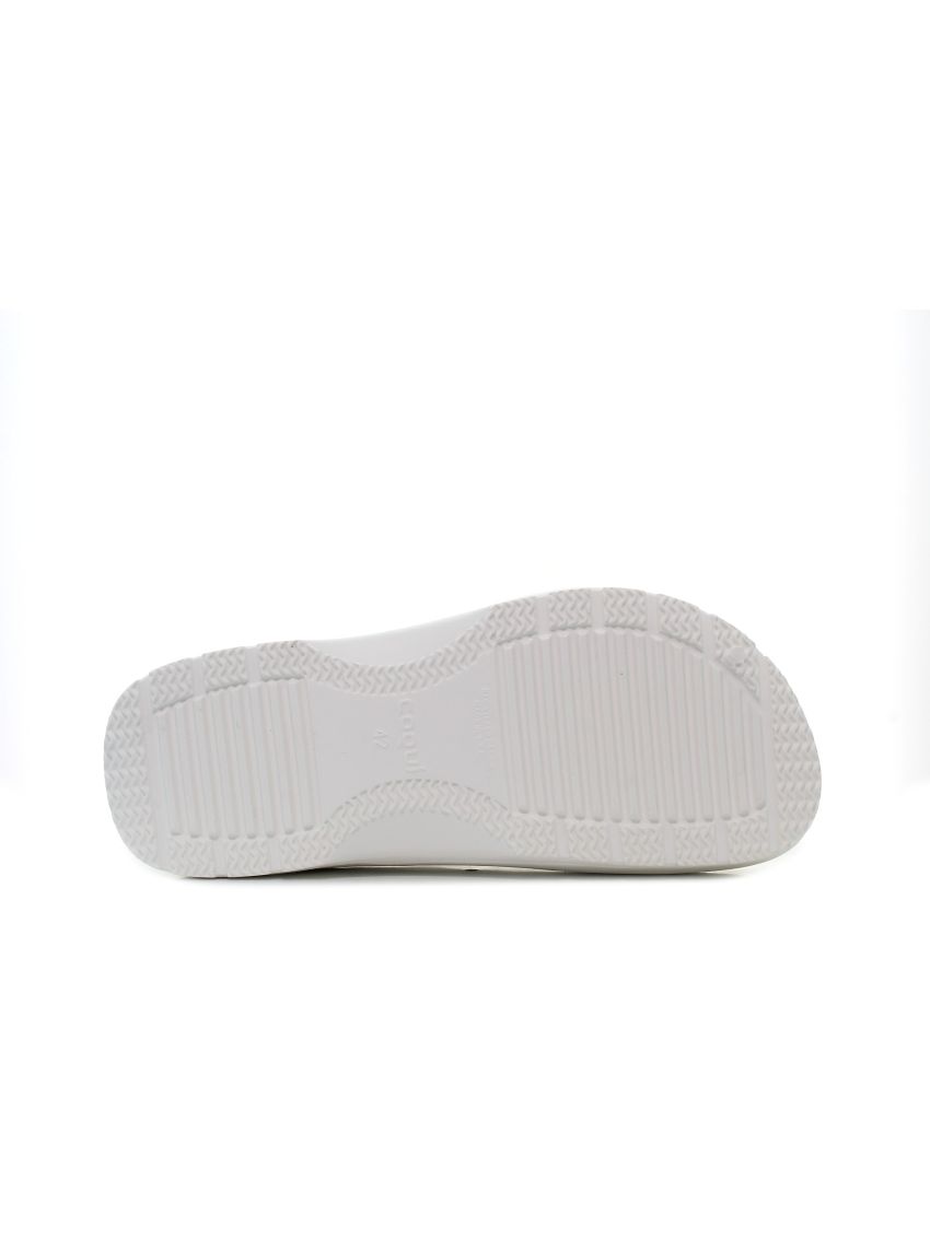 Coqui Seed  6461-100-3230