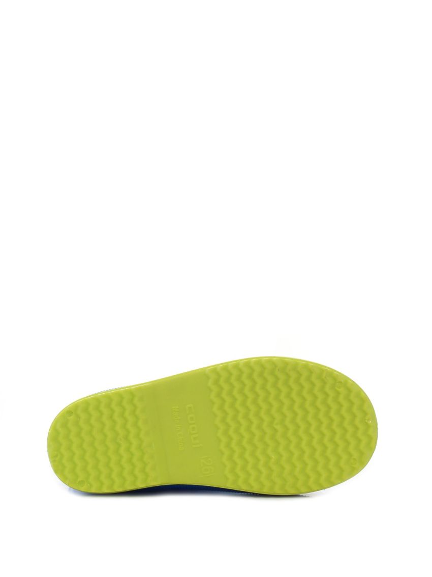 Coqui Rainy Collar Frog  8508-708-4713