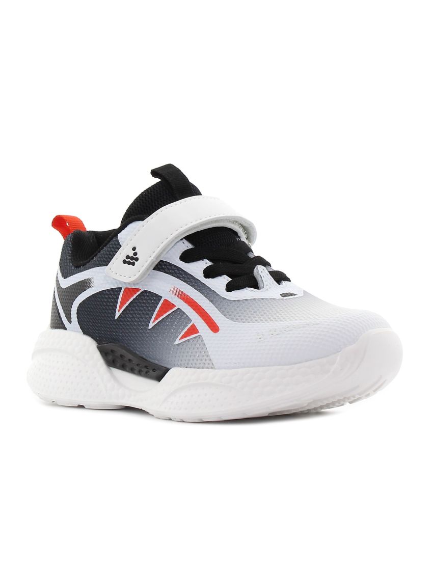 Wink Abax  FD51242-2GY