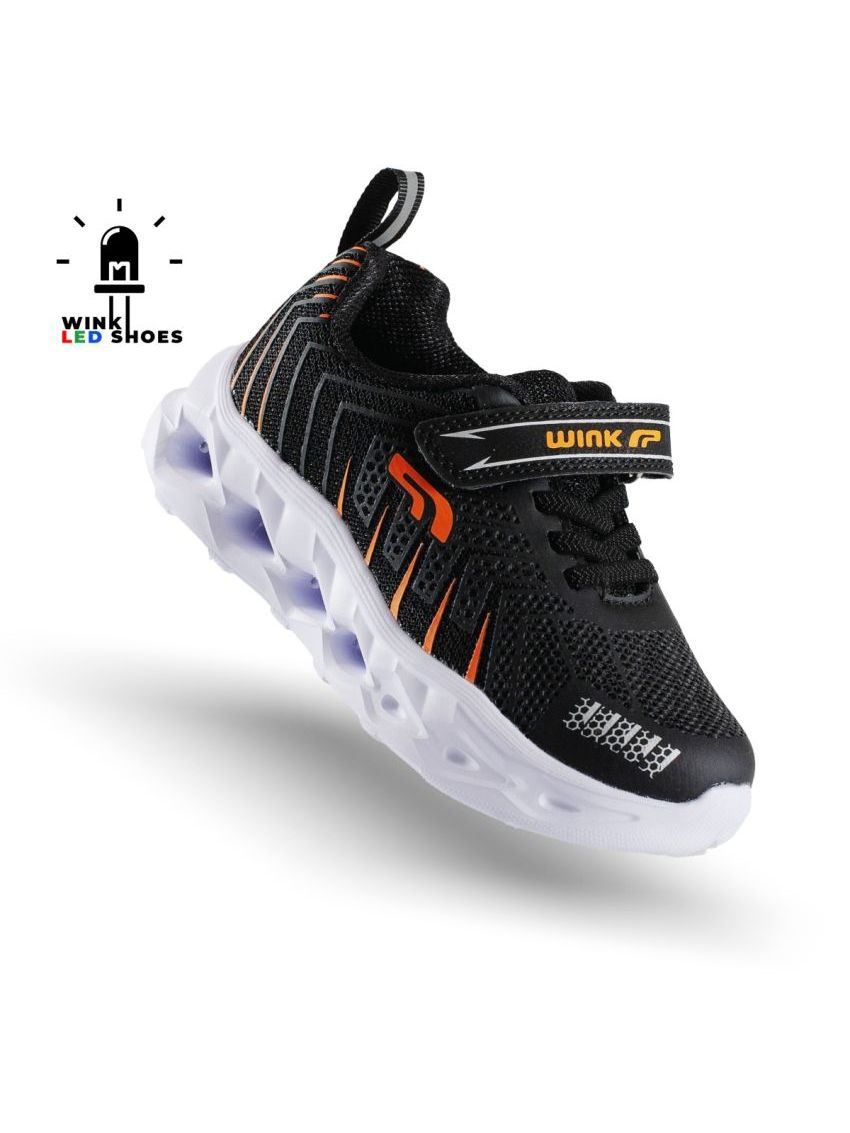 Wink Zion  FE41005-2B