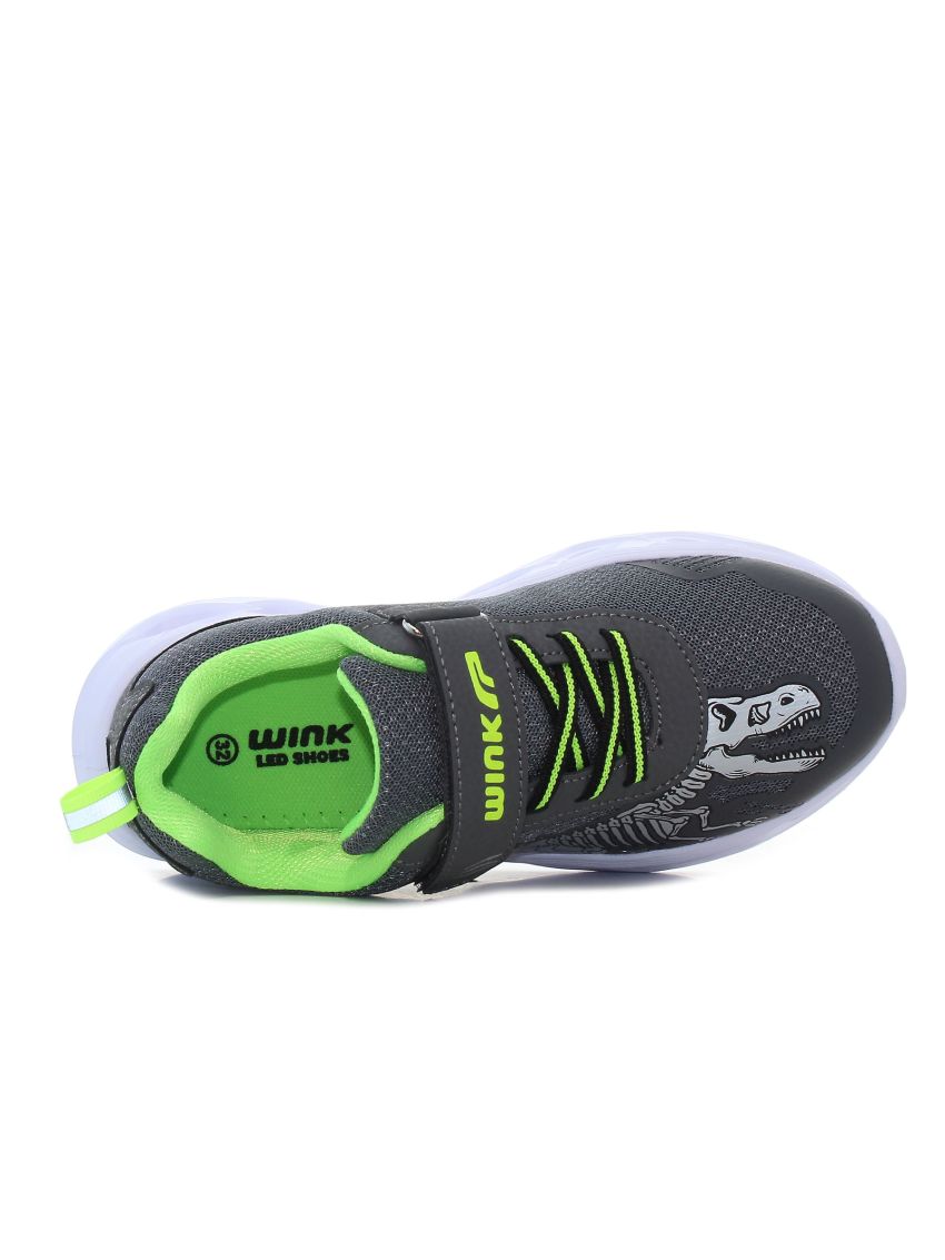 Wink Paleo Scelet  FE41011-1GY