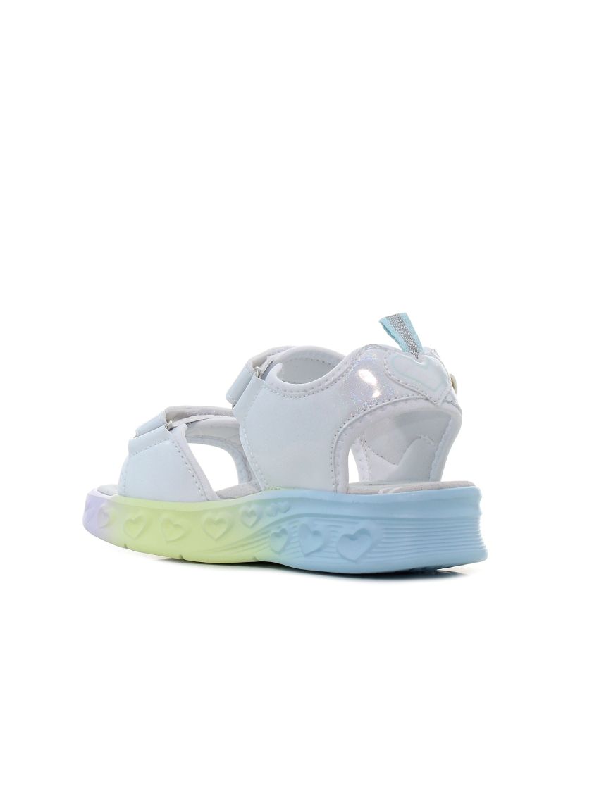 Wink Regina Ardor  FE71075-2B