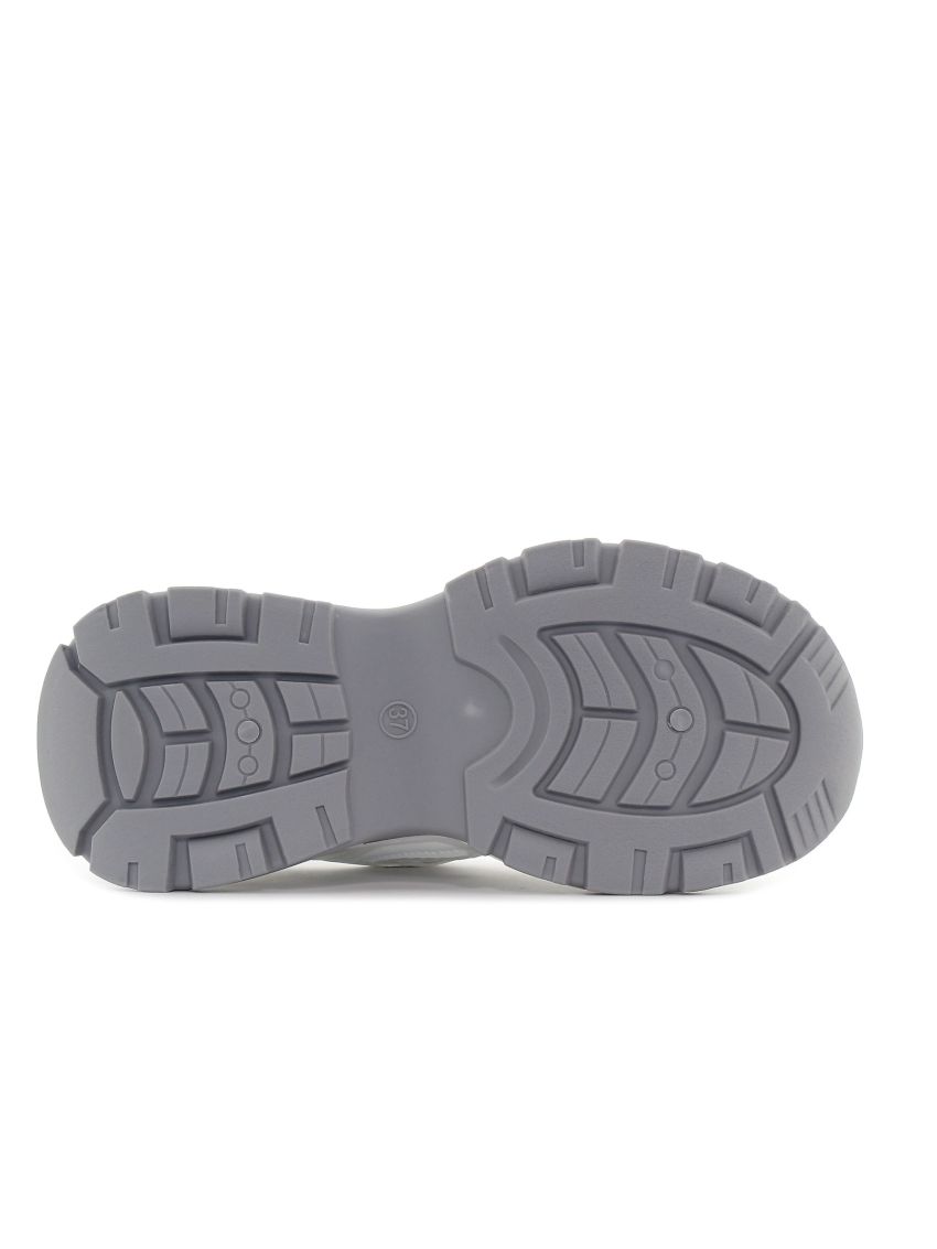 Wink Rapax  FG51209-3N