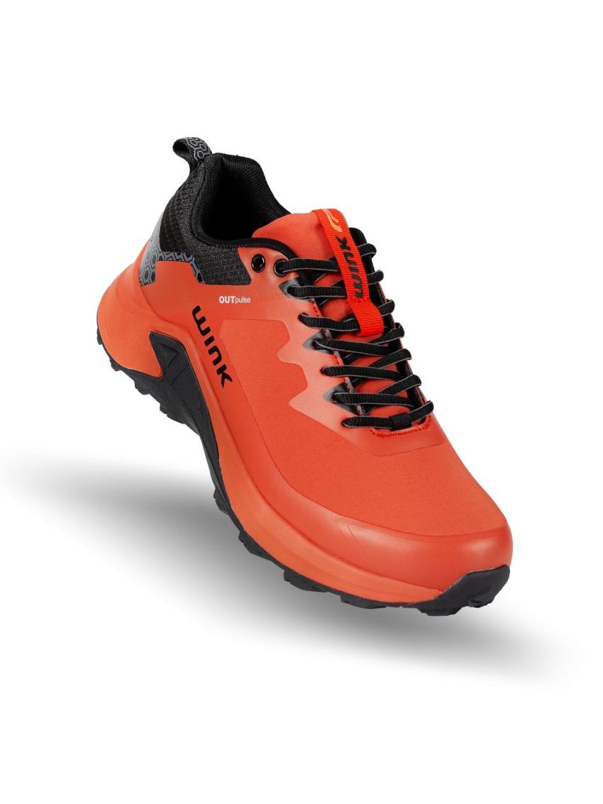 Wink Hydros  LF41081-3F