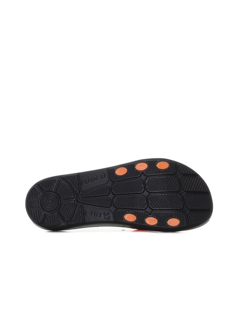 Wink Shiba Life  ST22778-1N