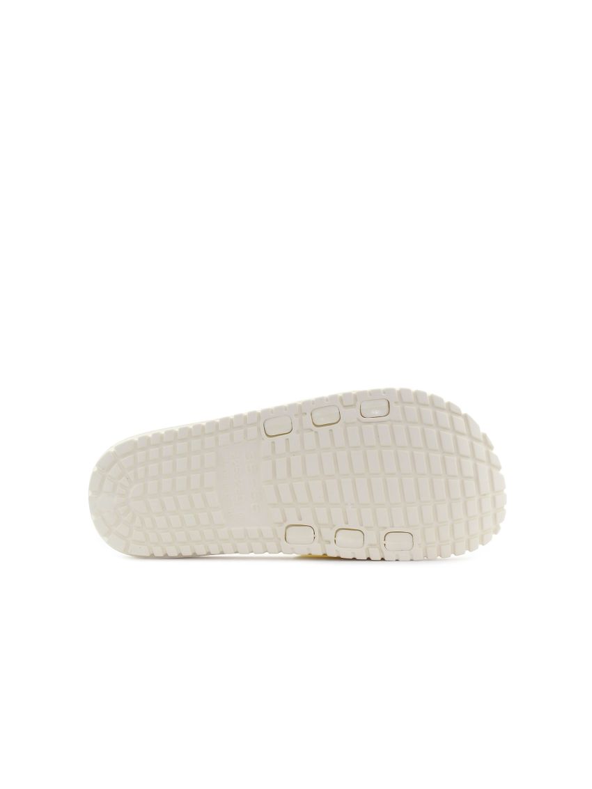 Wink Echis SY51234-2N