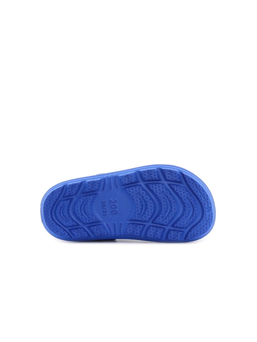 Wink Apis  SY51239-2GY