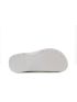 Coqui Seed  6461-100-3230