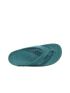 Coqui Zucco  7901-100-7681