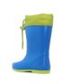 Coqui Rainy Collar Frog  8508-708-4713