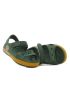 Coqui Yogi  8861-407-6364