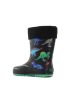 Wink Dinos  BD42153-B