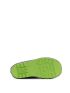 Wink Aqqo Prehistoric  BD51222-GY
