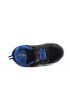 Wink Fylum  FE51196-1B
