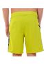 Vans Boardshort Sulphur Spring  VN0A49QXRHT1