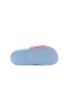Wink Testa  SR51136-1GY