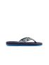 Wink Ceyx  SR51148-5F