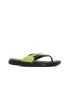 Wink Flip  ST01131-1N