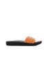 Wink Shiba Life  ST22778-1N