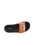 Wink Shiba Life  ST22778-1N