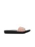 Wink Shiba Life  ST22778-3N