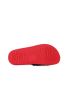Luofu Strawberry  ST31791-3GY