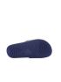 Luofu Dino  ST31798-3GY