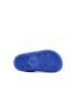 Wink Drago  SY51237-2GY