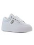 Comer Oonka  WW086-WH
