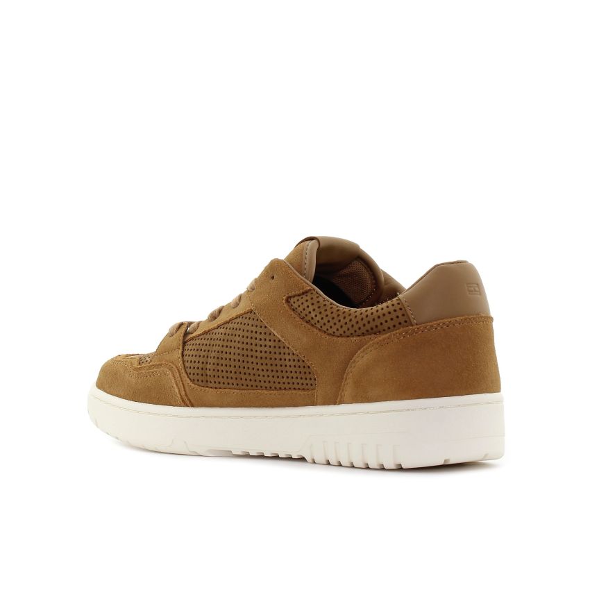 Tommy Hilfiger TH Basket barna férfi cipő